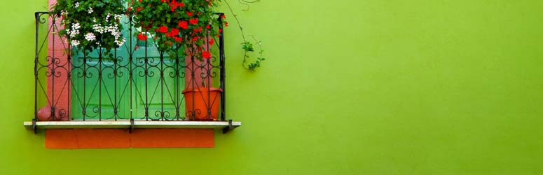 window with flowers